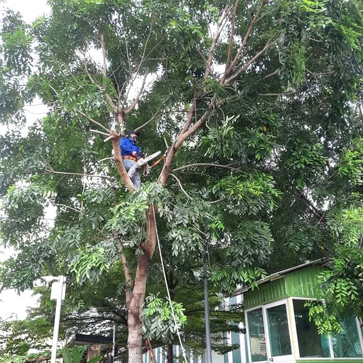 CÔNG TY TNHH DỊCH VỤ VÀ KỸ THUẬT PHÚ CƯỜNG